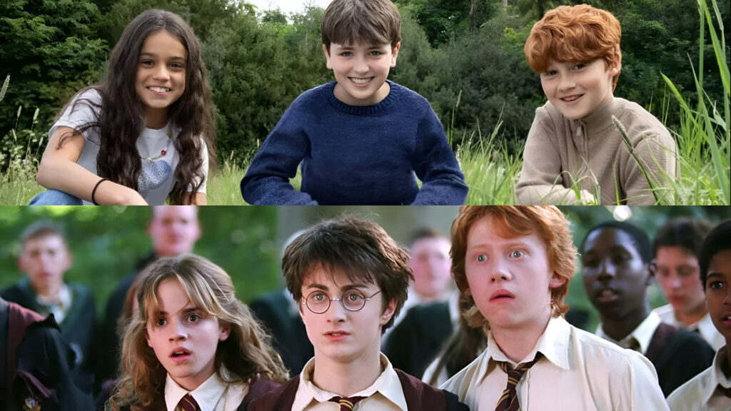Harry Potter